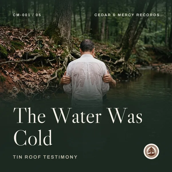 Cover art for The Water Was Cold
